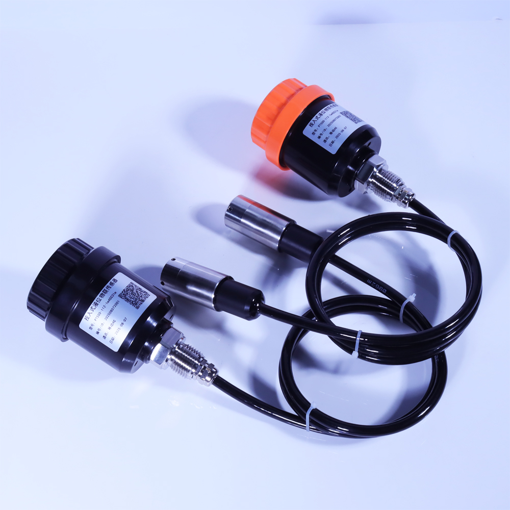 投入式液位物聯傳感器 PT500-112 投入式液位物聯傳感器 PT500-112